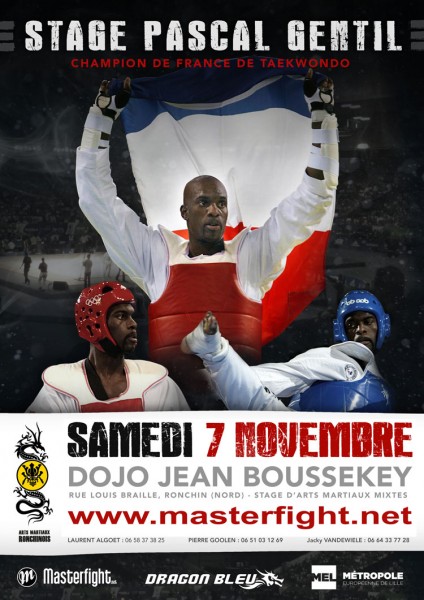 2015-11-7_stage-pascal-gentil_arts-martiaux-ronchinois